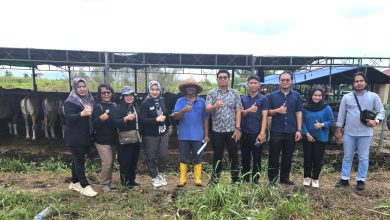 Pemeriksaan hewan kurban menjelang lebaran (dok: deltamahakam)