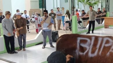 Bupati Kutim Ardiansyah Sulaiman Sembelih Hewan Qurbannya di Masjid Al Faruq