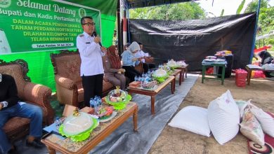 Bupati Kutim Ardiansyah Sulaiman