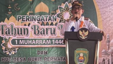 Bupati Kutai Timur (Kutim) Ardiansyah Sulaiman dalam peresmian layanan listrik 24 jam bagi masyarakat Kecamatan Kaubun (ist)